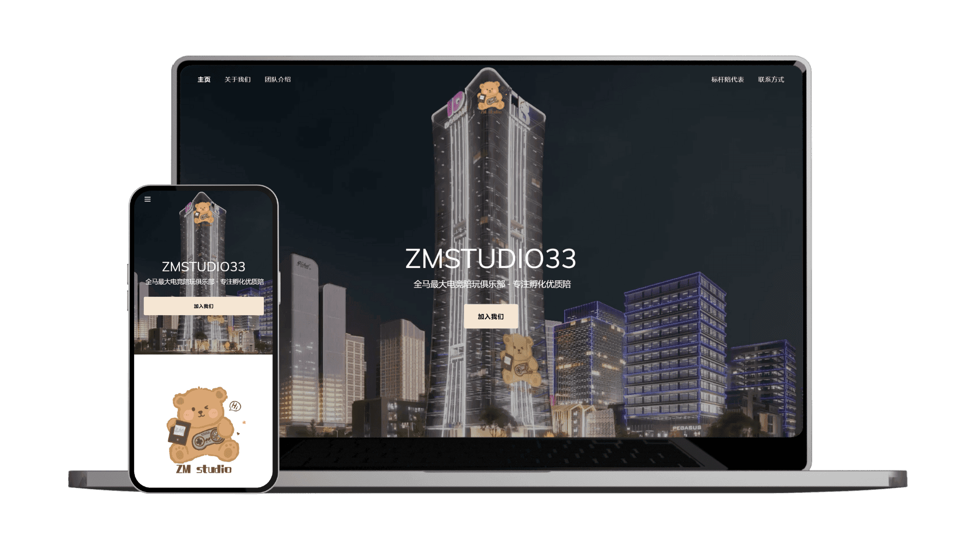 ZMSTUDIO33 Website Mockups